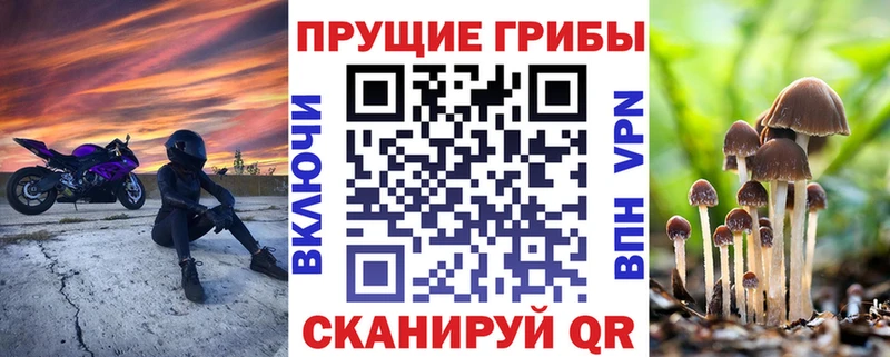 Псилоцибиновые грибы Psilocybine cubensis  цена наркотик  Пучеж 